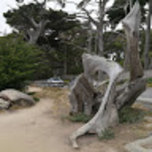 Meet your Posher, Jun